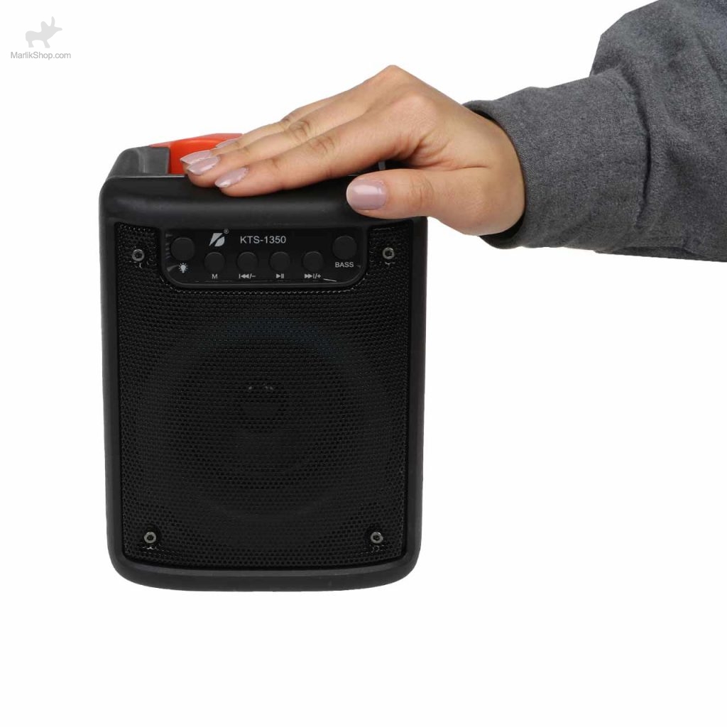 اسپیکر بی سیم BIG SOUND مدل KTS-1350 – مشکی