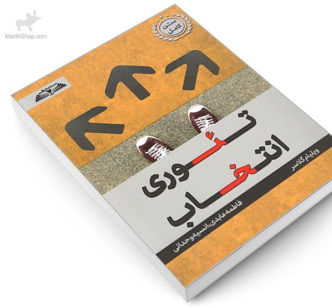 تئوری انتخاب