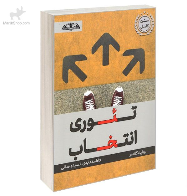 تئوری انتخاب